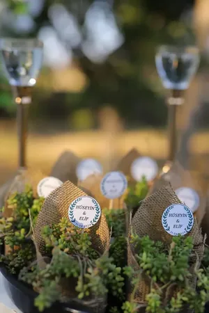 Wedding photo: succulent wedding favors name tags 2